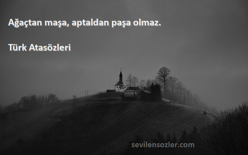 Türk Atasözleri Sözleri 
Ağaçtan maşa, aptaldan paşa olmaz.