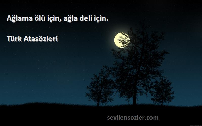 Türk Atasözleri - Ağlama ölü için, ağla deli için.