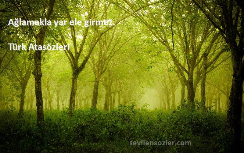 Türk Atasözleri - Ağlamakla yar ele girmez.