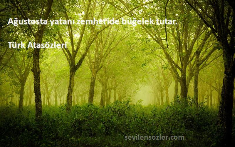 Türk Atasözleri - Ağustosta yatanı zemheride büğelek tutar.