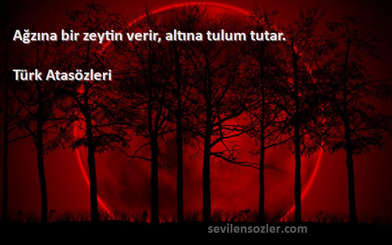 Türk Atasözleri - Ağzına bir zeytin verir, altına tulum tutar.
