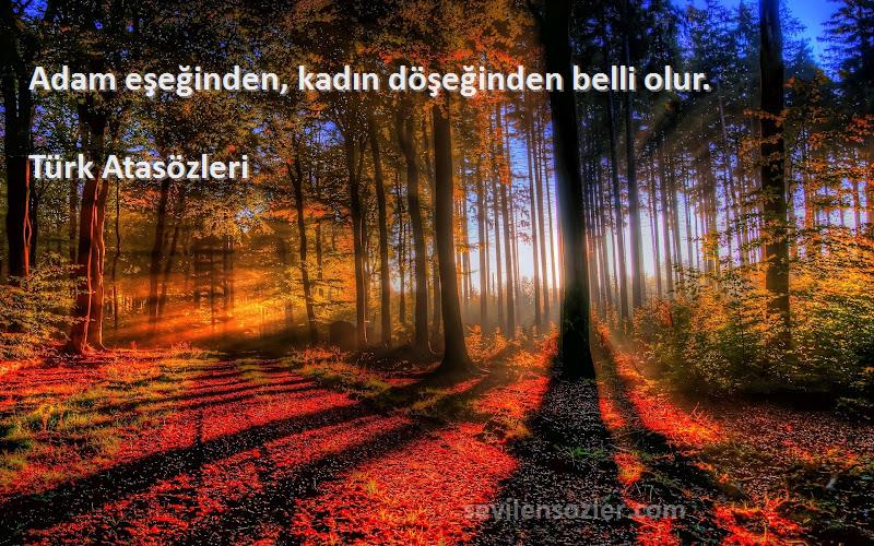 Türk Atasözleri - Adam eşeğinden, kadın döşeğinden belli olur.