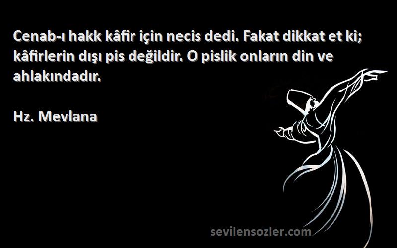 Hz. Mevlana Sözleri 
Cenab-ı hakk kâfir için necis dedi. Fakat dikkat et ki; kâfirlerin dışı pis değildir. O pislik onların din ve ahlakındadır.