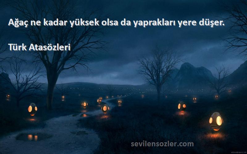 Türk Atasözleri - Ağaç ne kadar yüksek olsa da yaprakları yere düşer.