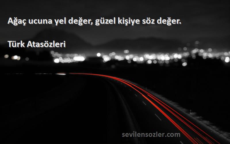 Türk Atasözleri - Ağaç ucuna yel değer, güzel kişiye söz değer.