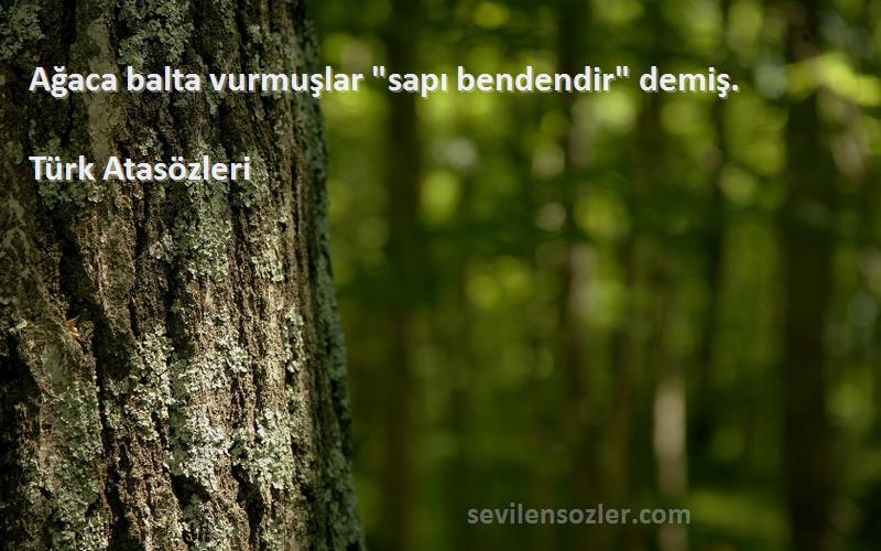 Türk Atasözleri - Ağaca balta vurmuşlar sapı bendendir demiş.