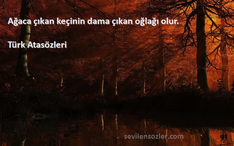 Türk Atasözleri - Ağaca çıkan keçinin dama çıkan oğlağı olur.