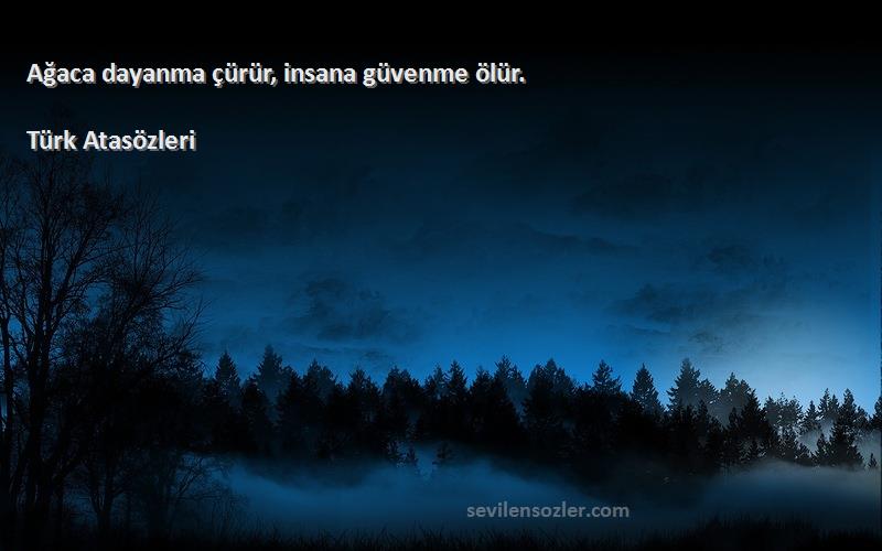 Türk Atasözleri - Ağaca dayanma çürür, insana güvenme ölür.