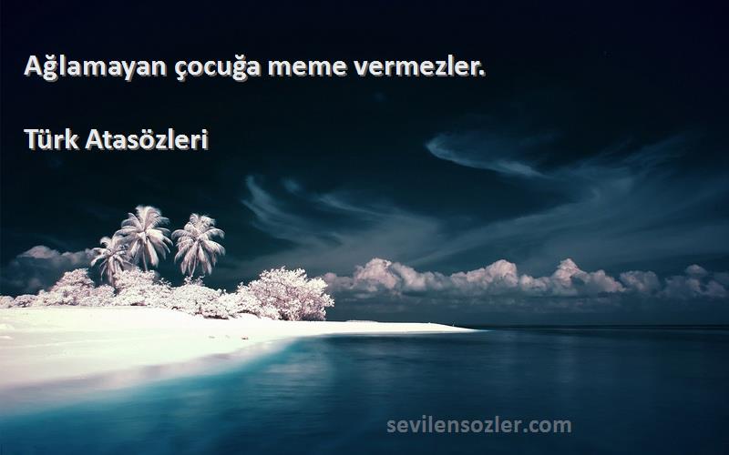 Türk Atasözleri - Ağlamayan çocuğa meme vermezler.