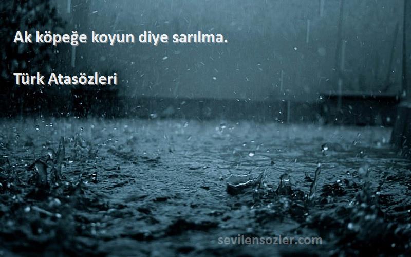 Türk Atasözleri - Ak köpeğe koyun diye sarılma.