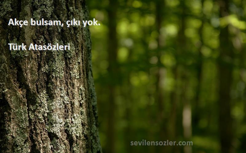 Türk Atasözleri - Akçe bulsam, çıkı yok.