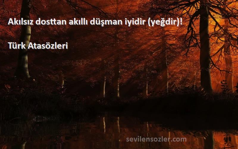 Türk Atasözleri - Akılsız dosttan akıllı düşman iyidir (yeğdir)!