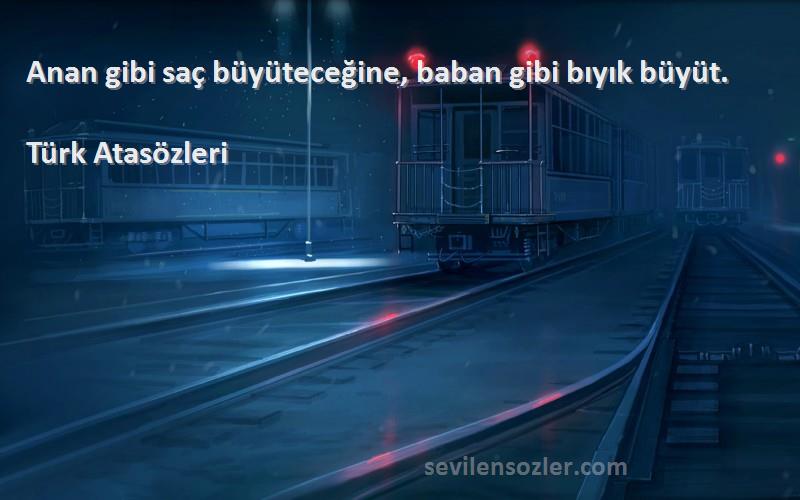 Türk Atasözleri - Anan gibi saç büyüteceğine, baban gibi bıyık büyüt.