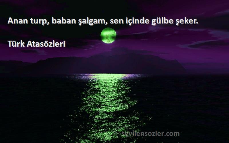 Türk Atasözleri - Anan turp, baban şalgam, sen içinde gülbe şeker.