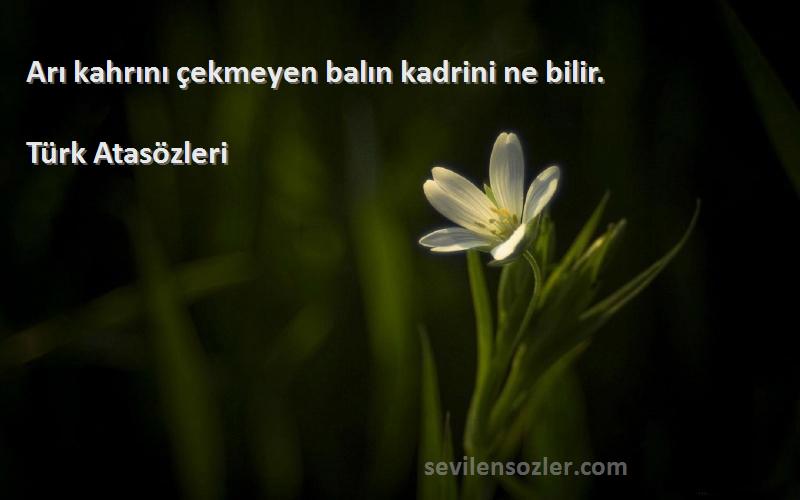 Türk Atasözleri - Arı kahrını çekmeyen balın kadrini ne bilir.