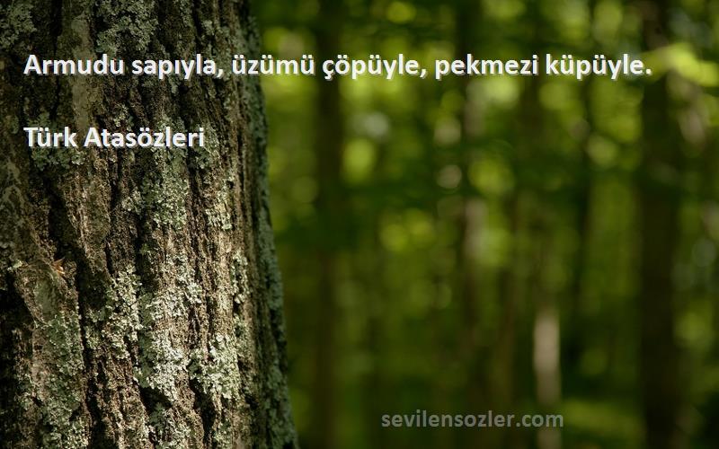 Türk Atasözleri - Armudu sapıyla, üzümü çöpüyle, pekmezi küpüyle.