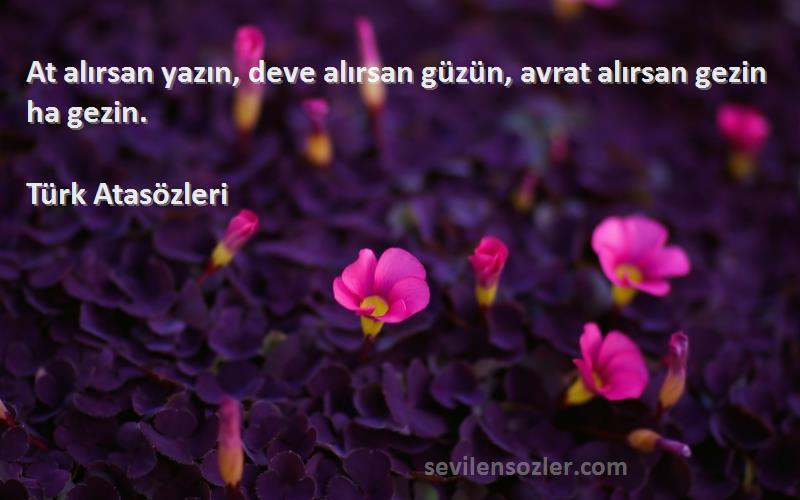 Türk Atasözleri - At alırsan yazın, deve alırsan güzün, avrat alırsan gezin ha gezin.