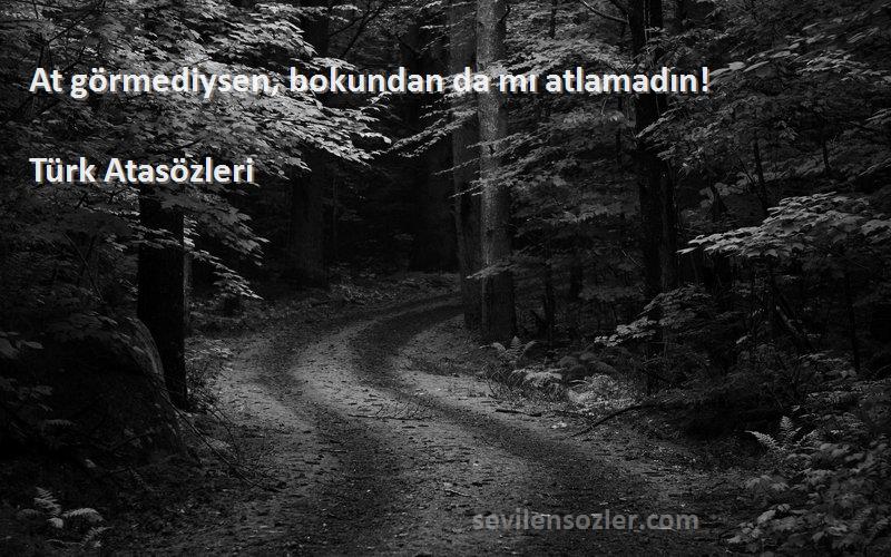 Türk Atasözleri - At görmediysen, bokundan da mı atlamadın!