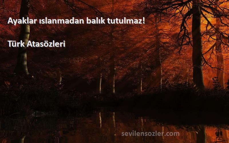 Türk Atasözleri - Ayaklar ıslanmadan balık tutulmaz!