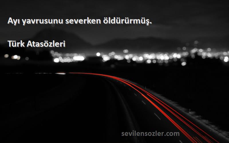 Türk Atasözleri Sözleri 
Ayı yavrusunu severken öldürürmüş.