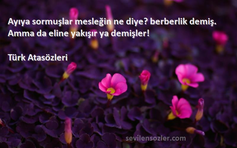 Türk Atasözleri - Ayıya sormuşlar mesleğin ne diye? berberlik demiş. Amma da eline yakışır ya demişler!