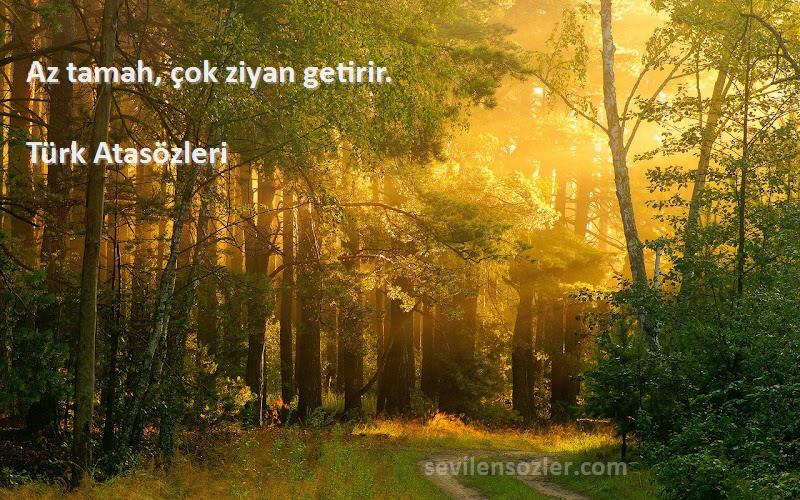 Türk Atasözleri - Az tamah, çok ziyan getirir.