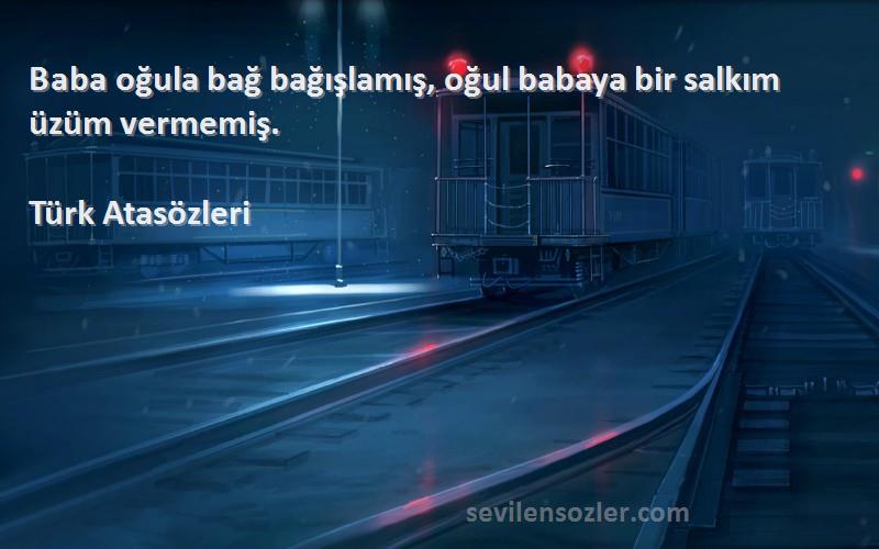 Türk Atasözleri - Baba oğula bağ bağışlamış, oğul babaya bir salkım üzüm vermemiş.