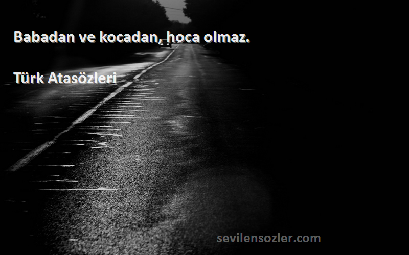 Türk Atasözleri - Babadan ve kocadan, hoca olmaz.