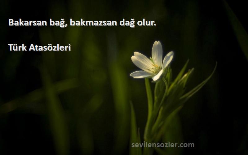Türk Atasözleri Sözleri 
Bakarsan bağ, bakmazsan dağ olur.