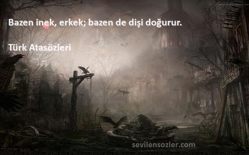 Türk Atasözleri - Bazen inek, erkek; bazen de dişi doğurur.