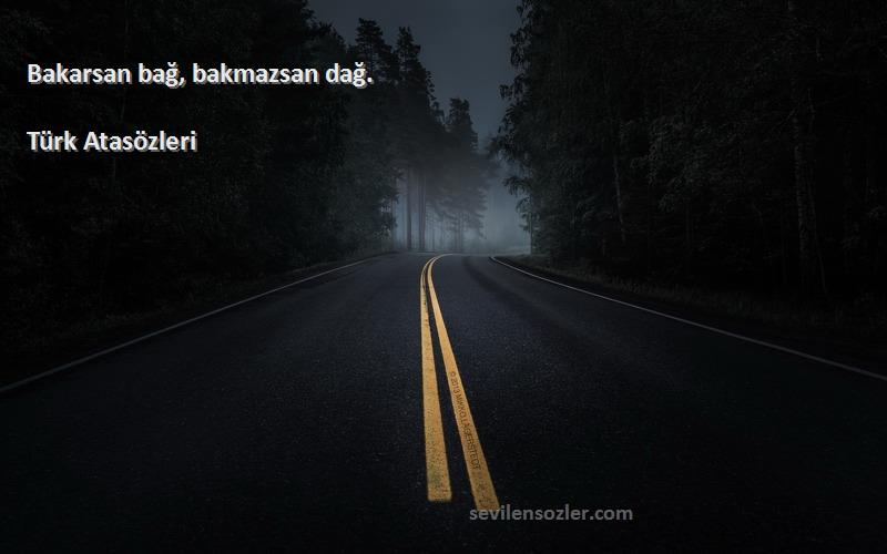 Türk Atasözleri - Bakarsan bağ, bakmazsan dağ.