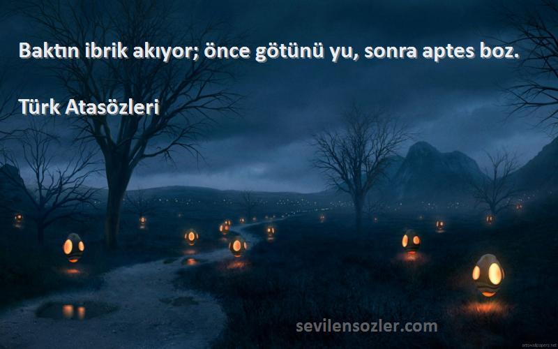 Türk Atasözleri - Baktın ibrik akıyor; önce götünü yu, sonra aptes boz.
