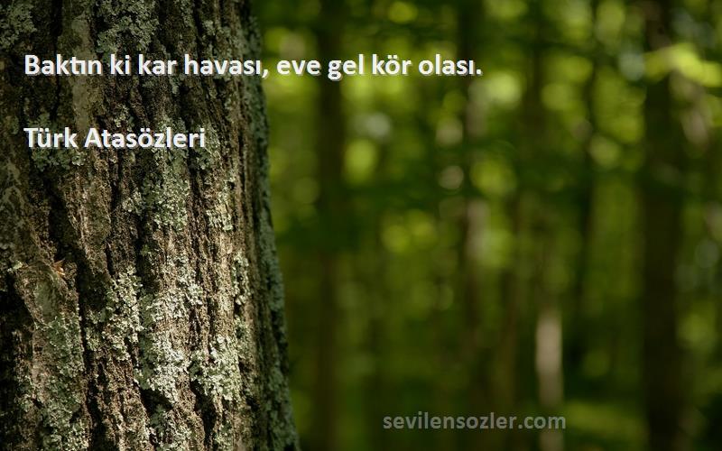 Türk Atasözleri - Baktın ki kar havası, eve gel kör olası.