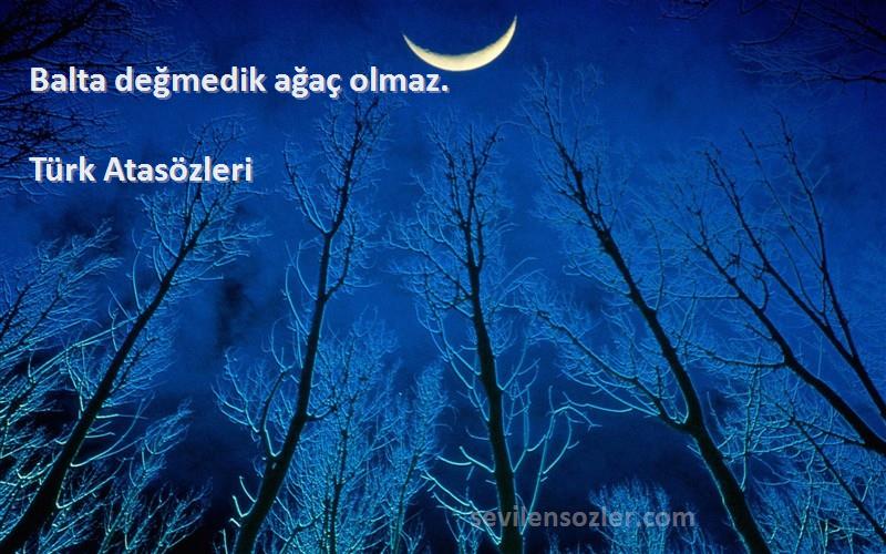 Türk Atasözleri - Balta değmedik ağaç olmaz.