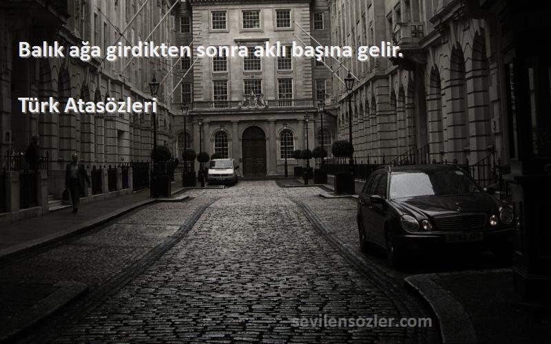 Türk Atasözleri - Balık ağa girdikten sonra aklı başına gelir.