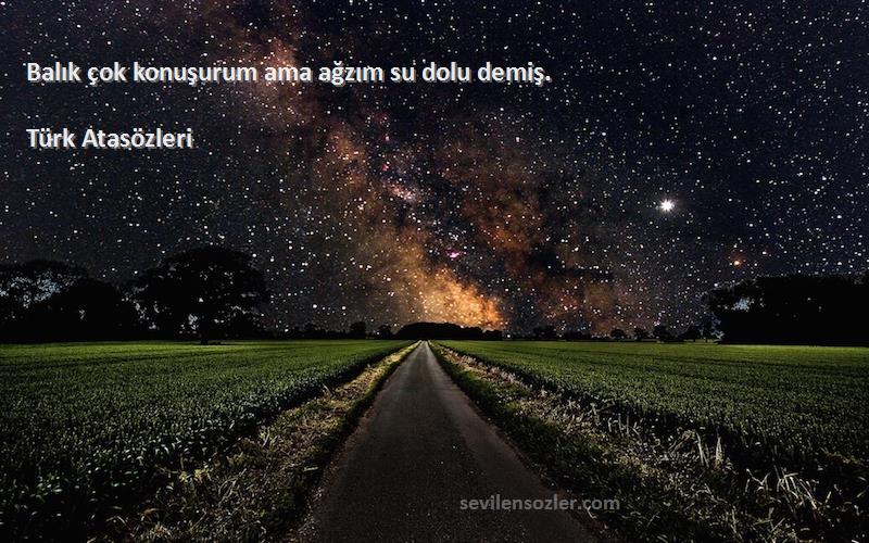 Türk Atasözleri - Balık çok konuşurum ama ağzım su dolu demiş.