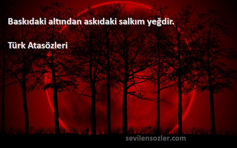 Türk Atasözleri - Baskıdaki altından askıdaki salkım yeğdir.