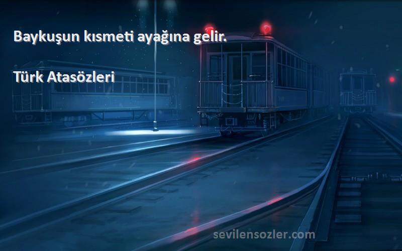 Türk Atasözleri - Baykuşun kısmeti ayağına gelir.