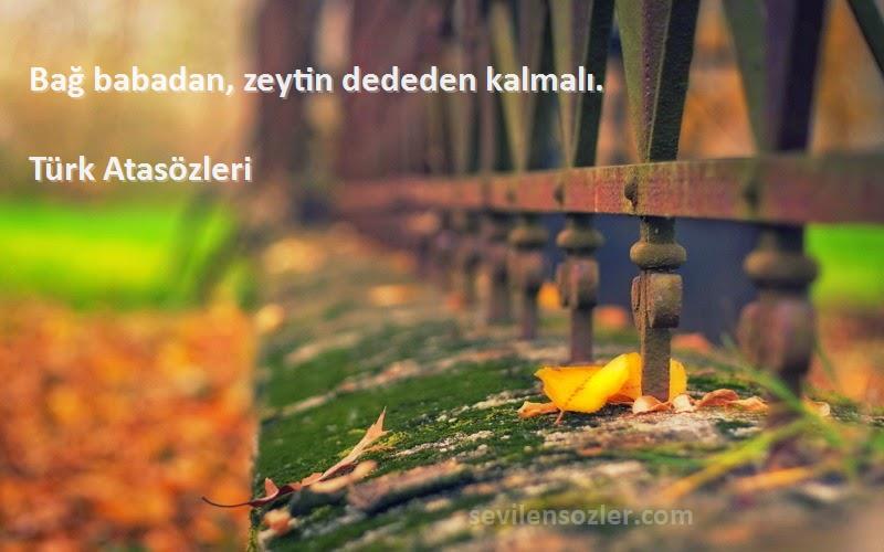 Türk Atasözleri - Bağ babadan, zeytin dededen kalmalı.