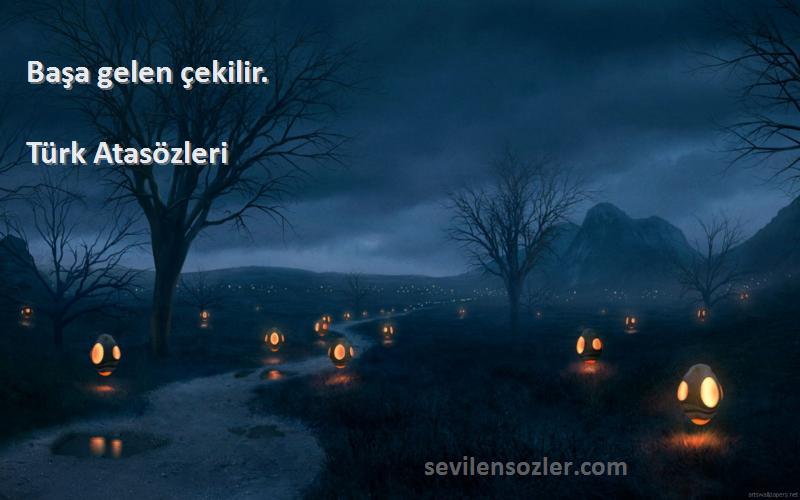 Türk Atasözleri - Başa gelen çekilir.