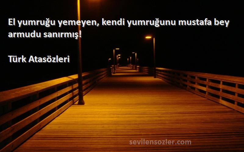 Türk Atasözleri - El yumruğu yemeyen, kendi yumruğunu mustafa bey armudu sanırmış!