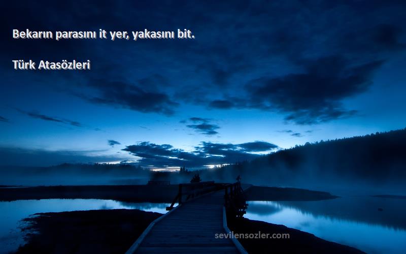 Türk Atasözleri - Bekarın parasını it yer, yakasını bit.