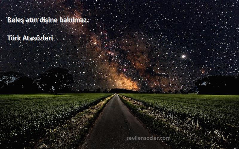 Türk Atasözleri - Beleş atın dişine bakılmaz.