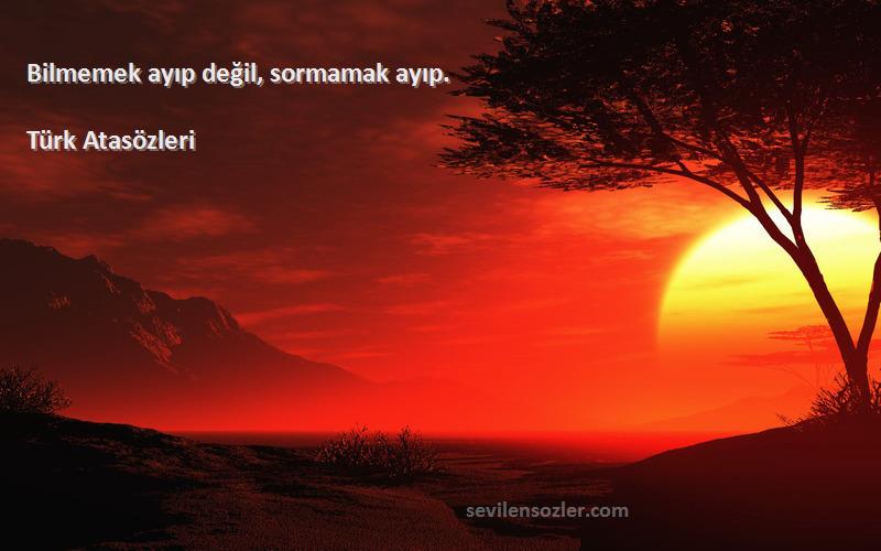 Türk Atasözleri - Bilmemek ayıp değil, sormamak ayıp.