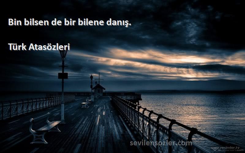 Türk Atasözleri Sözleri 
Bin bilsen de bir bilene danış.
