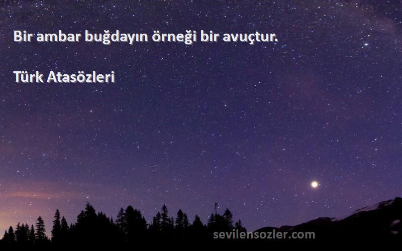 Türk Atasözleri - Bir ambar buğdayın örneği bir avuçtur.