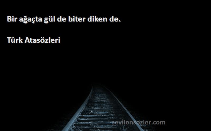 Türk Atasözleri - Bir ağaçta gül de biter diken de.