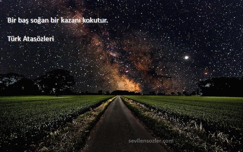 Türk Atasözleri - Bir baş soğan bir kazanı kokutur.