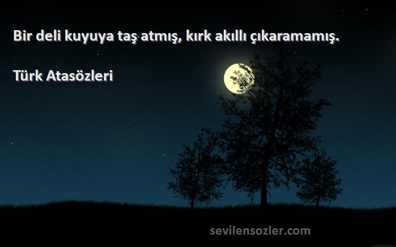Türk Atasözleri Sözleri 
Bir deli kuyuya taş atmış, kırk akıllı çıkaramamış.