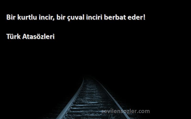 Türk Atasözleri - Bir kurtlu incir, bir çuval inciri berbat eder!